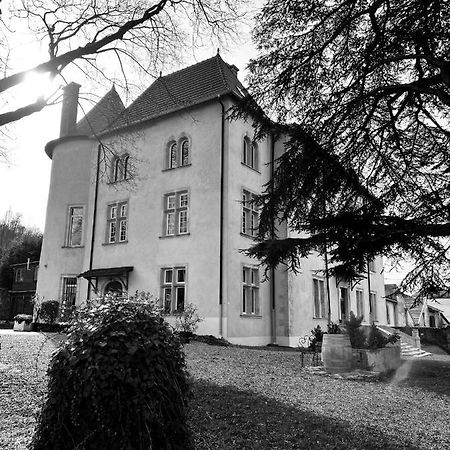 Bed And Breakfast Le Chateau De Morey Belleau Екстер'єр фото