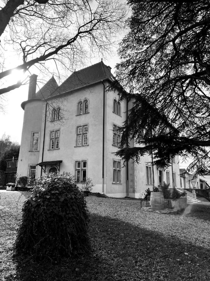 Bed And Breakfast Le Chateau De Morey Belleau Екстер'єр фото